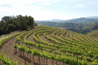 Priorat