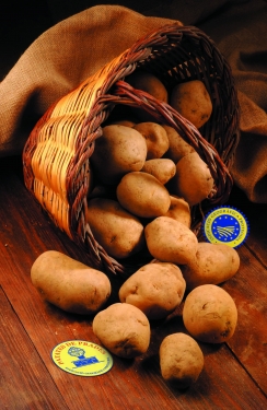 patates_Prades